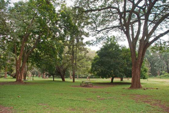 Nairobi Arboretum 