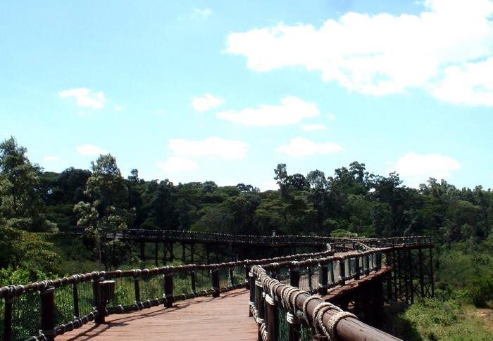 Nairobi Safari Walk 