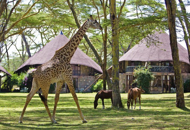 Naivasha Sopa Lodge