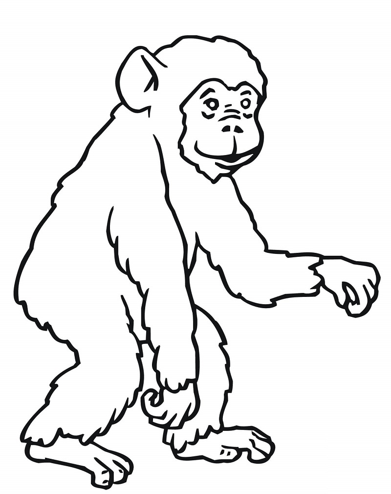 Ape Coloring Pages