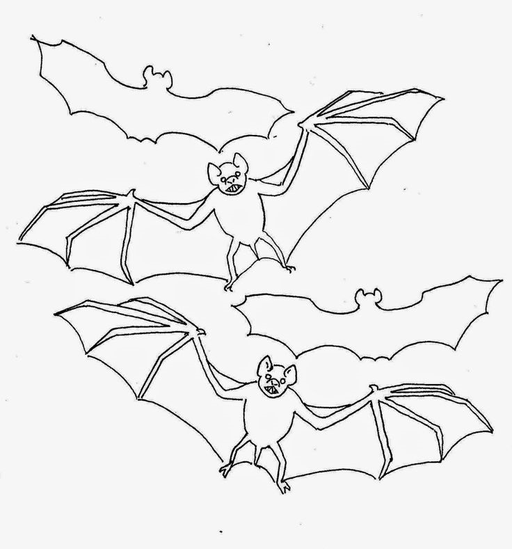 Bat pictures to print