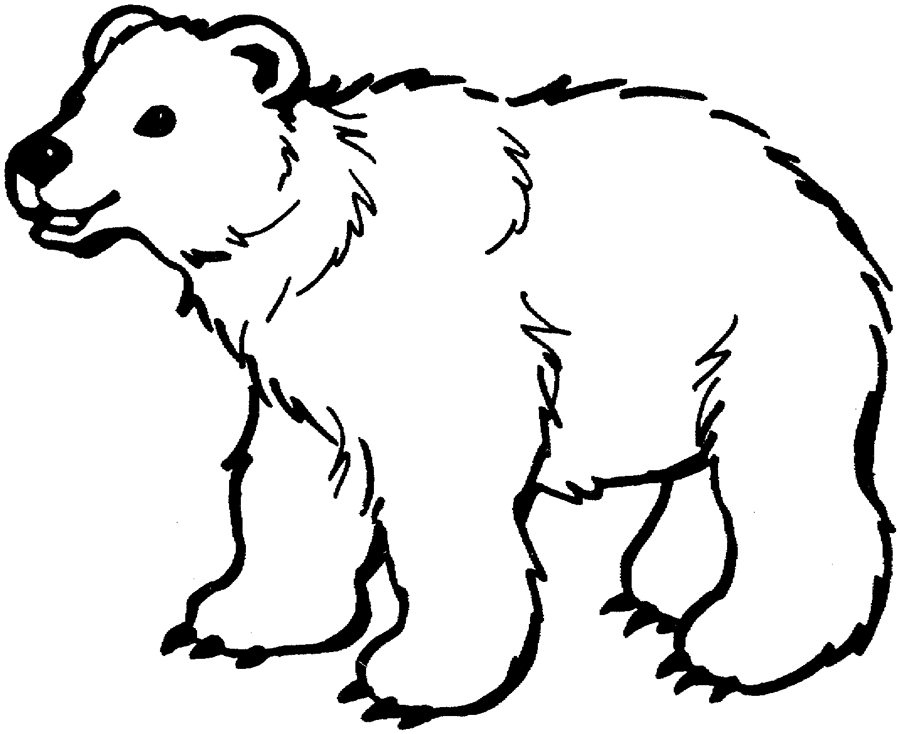 Bears Face Coloring Pages