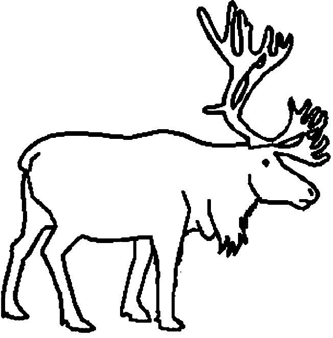 Caribou Face Coloring Pages
