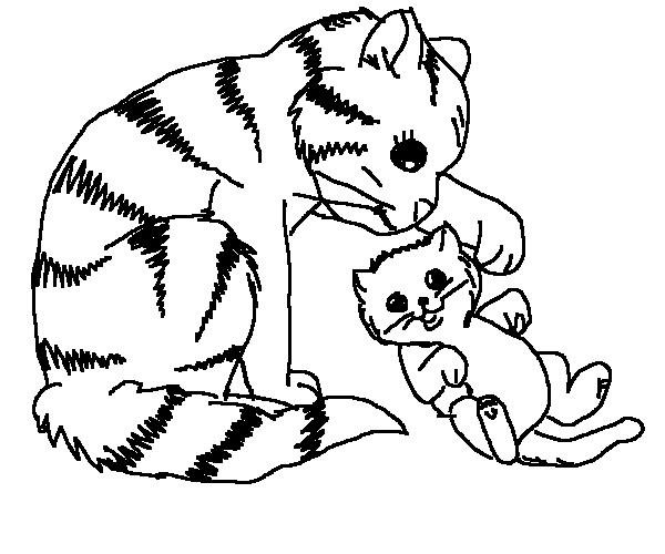 Cats Coloring Pages for Adults