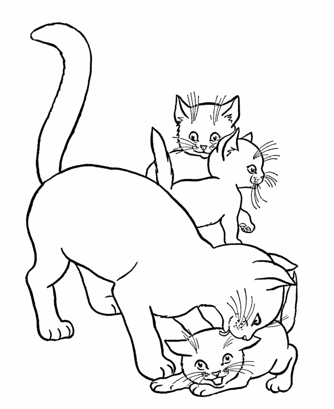 Cats Face Coloring Pages