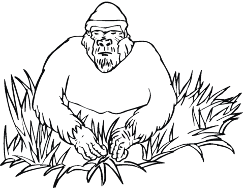 Cute Ape Coloring Pages