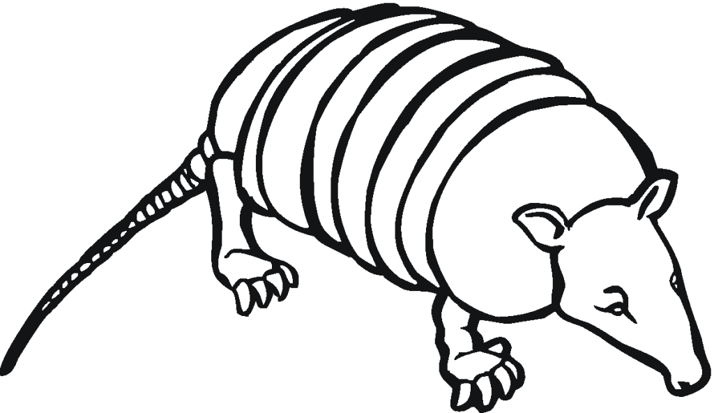 Free Armadillo Coloring Pages Printable