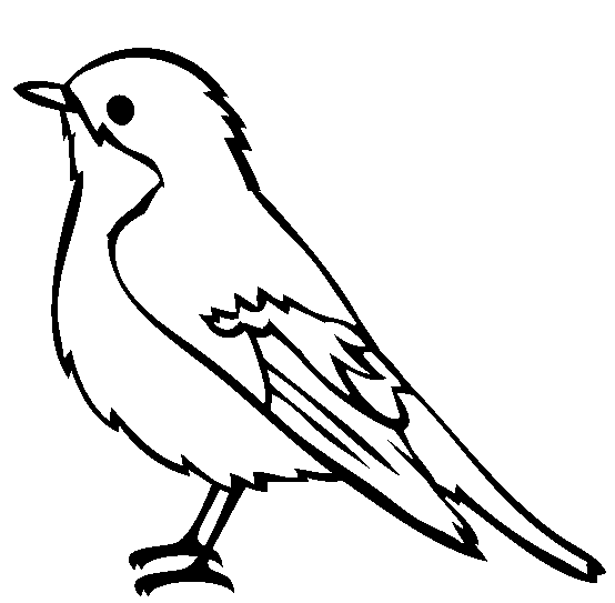Free Printable Birds Coloring Pages For Kids