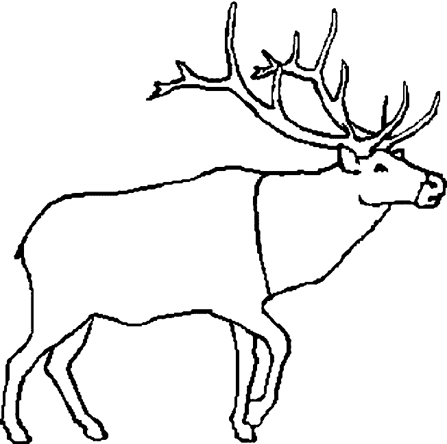 Free Printable Caribou Coloring Pages For Kids