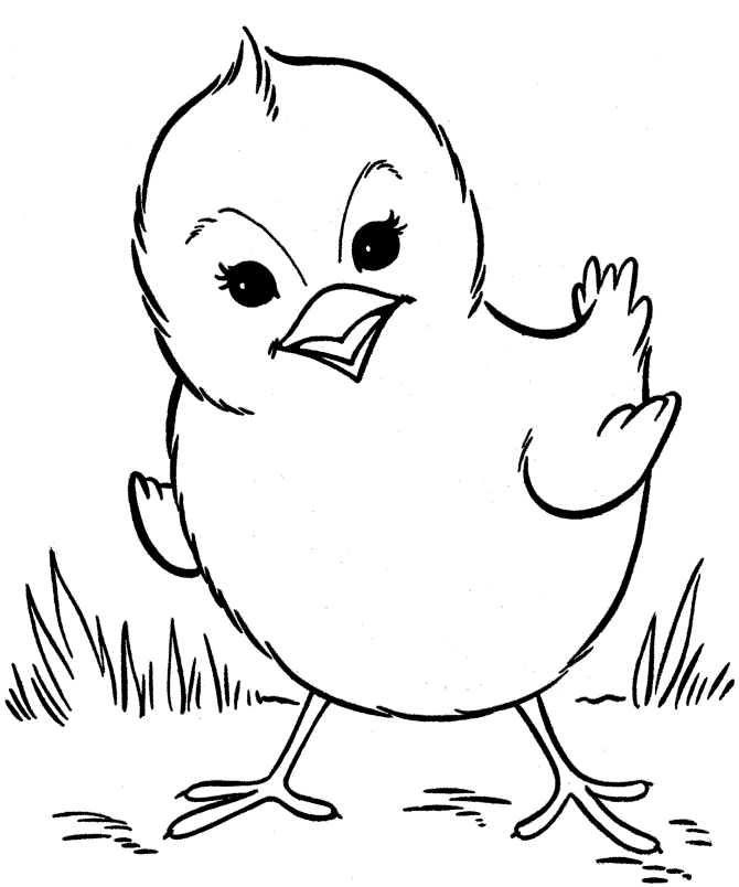 Free Printable Chicks Coloring Pages For Kids