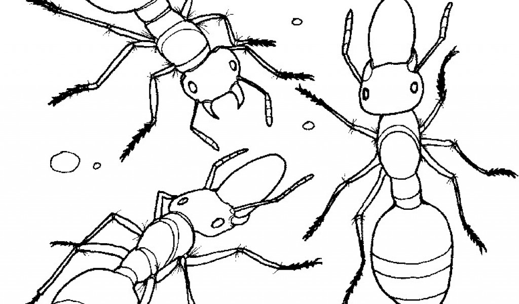 ant face coloring pages to print