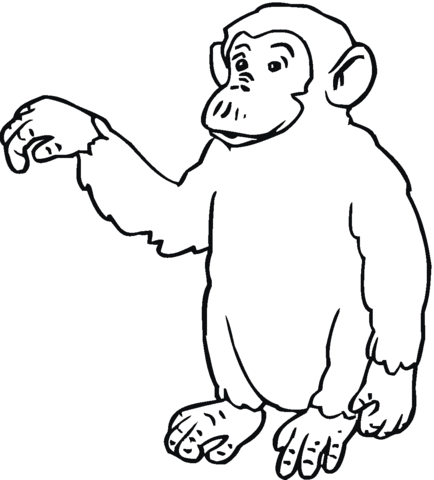 Printable Ape Pictures