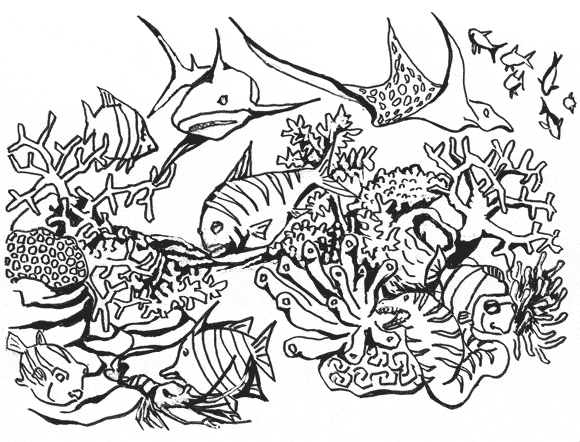 Realistic Coral Coloring Pages